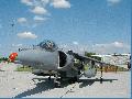 Harrier RAF