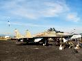 MiG-29 Slovak AF