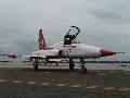 F-5 Turkish Stars Turkish AF
