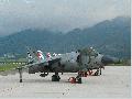 Harrier RAF