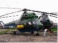 Mi-2 SlAF