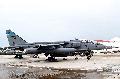 Jaguar RAF