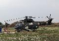 IAR-330 Puma RoAF