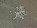 French squadron markings