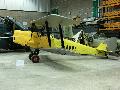 Tiger Moth