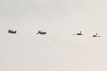 MiG-29B and L-39 HunAF