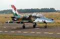 L-39 Albatros spacial painted HunAF