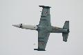 L-39 Albatros spacial painted HunAF