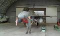 F-16D and pilot (
