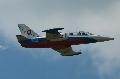 L-39 Albatros Special Painted, Slovak AF