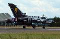 Tornado ECR special painted, Luftwaffe