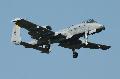 A-10 Thunderbolt II (Warthog) USAF