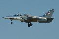 L-39 Albatros Special Shark painted, HuNAF