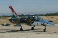 L-39 Albatros Special Shark painted, HuNAF