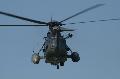 Sea King - German Navy