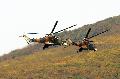 Mi-24s HunAF