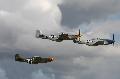 P-51 Mustangs