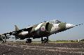 Harrier GR1