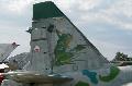 Su-25K Tail Special Painted Frog and Hammer