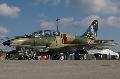 L-39 Albatros Czeh AF Special Painted Tail