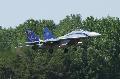 MiG-29B Special Painted  HunAF