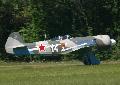 Jak-11
