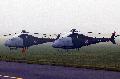 SW-4 Puszcyk Polish AF
