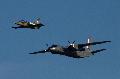 L-39ZO Albatros and AN-26 Curl