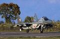 MiG-29B Polish AF