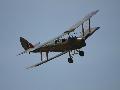 Tiger Moth