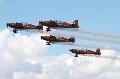 Extra 300s, Jordan Falcons