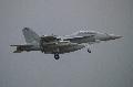 EA-18G VAQ-132 Scorpions sq. US.Navy