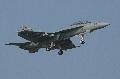 EA-18G VAQ-132 Scorpions sq. US.Navy