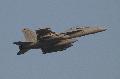 EA-18G VAQ-132 Scorpions sq. US.Navy