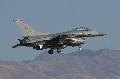 F-16CJ USAFE 510 sq. Buzzards