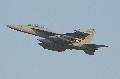 EA-18G VAQ-132 Scorpions sq. US.Navy