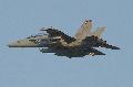 EA-18G VAQ-132 Scorpions sq. US.Navy