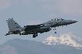 F-15E USAFE 492 sq. Bowlers