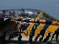 Tiger pilot action