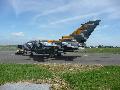 Tornado Luftwaffe special Tiger painted