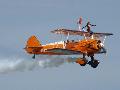 Wing Walkers