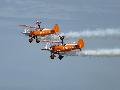 Wing Walkers