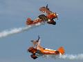 Wing Walkers