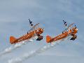 Wing Walkers