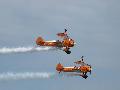 Wing Walkers