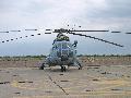 Mi-17, Polish Navy