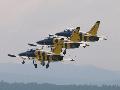 Baltic Bee L-39s