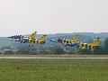 Baltic Bee L-39s