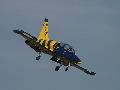 Baltic Bees L-39C-s