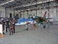 L-39 Albatros special painted (Capeti) HunAF
